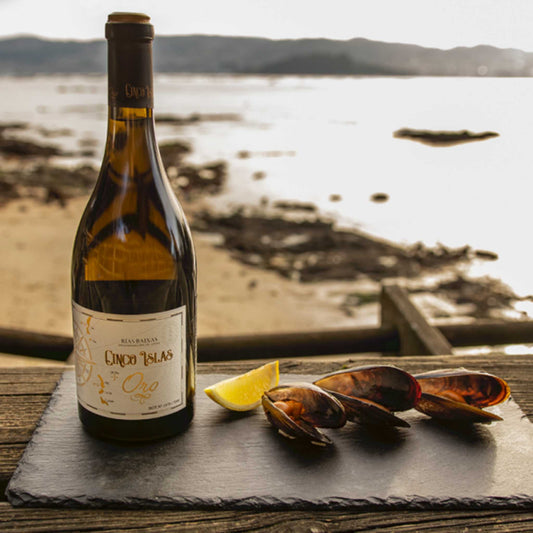 ¿Cuáles Son los Beneficios del Vino Blanco? Mitos y Realidad