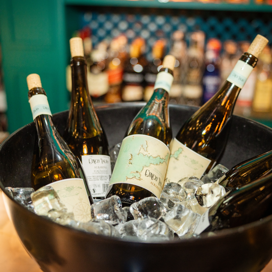 Cómo Servir un Vino Blanco Correctamente: Temperatura, Copa y Conservación